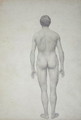 Study of the Human Figure, Posterior View, Undissected, Finished Study for Table VII, from A Comparative Anatomical Exposition of the Structure of the Human Body with that of a Tiger and a Common Fowl, 1795-1806 - George Stubbs