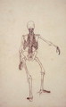 Study of the Human Figure, Posterior View, from A Comparative Anatomical Exposition of the Structure of the Human Body with that of a Tiger and a Common Fowl, 1795-1806 - George Stubbs
