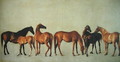 Mares and Foals without a Background, c.1762 - George Stubbs