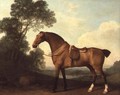 A Saddled Bay Hunter in a Landscape with a Lake Beyond, 1786 - George Stubbs