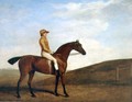 Rosaletta - George Stubbs