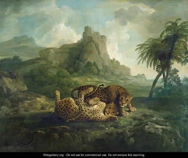 Leopards at Play, c.1763-8 - George Stubbs