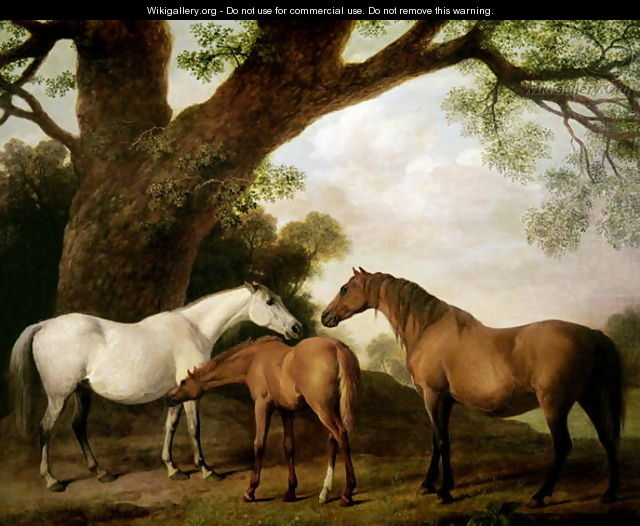Two Shafto Mares and a Foal, 1774 - George Stubbs