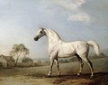 Mambrino, 1779 - George Stubbs