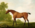 A Bay Thoroughbred in a Landscape, 1801 - George Stubbs