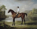 The Marquess of Rockinghams Scrub, with John Singleton up, 1762 - George Stubbs