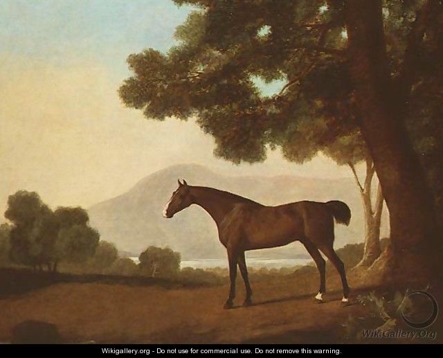 Johnny, a bay stallion in a wooded landscape - George Stubbs