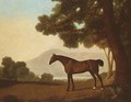 Johnny, a bay stallion in a wooded landscape - George Stubbs