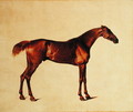 Rufus - George Stubbs