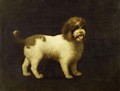 A Water Spaniel, 1769 - George Stubbs