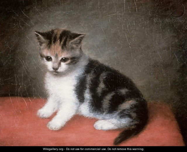 Miss Ann Whites Kitten, 1790 - George Stubbs