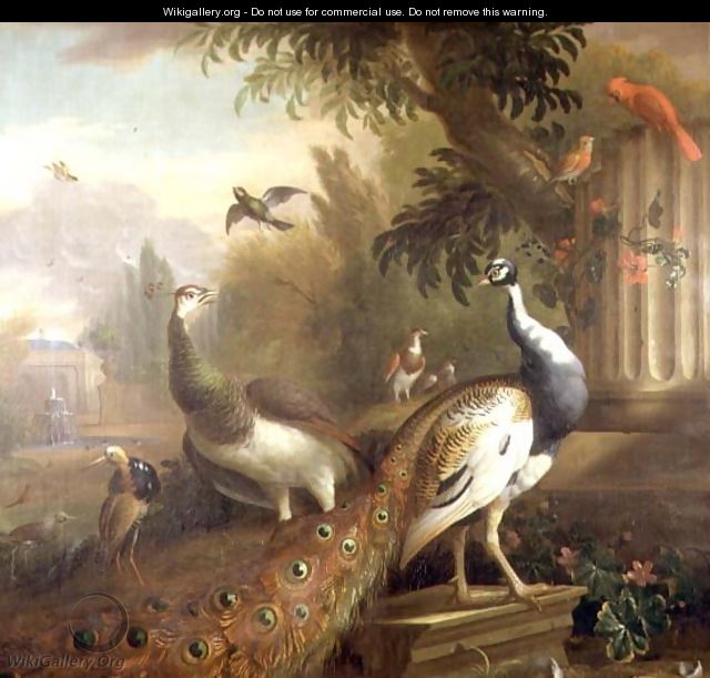Peacock and Peahen with a Red Cardinal in a Classical Landscape - Tobias Stranover