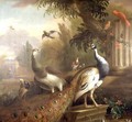 Peacock and Peahen with a Red Cardinal in a Classical Landscape - Tobias Stranover