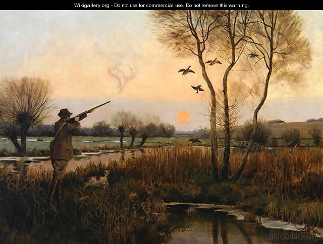 Duck Shooting - Christopher William Strange