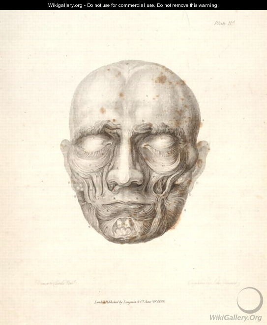 The Muscles of the face, from Charles Bells 1774-1842 Essays on the Anatomy of Expression in Painting, 1806 - John Stewart
