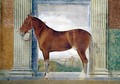 Sala dei Cavalli, detail showing a portrait of a chestnut horse from the stables of Ludovico Gonzaga III of Mantua, 1528 - Giulio Romano (Orbetto)