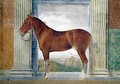 Sala dei Cavalli, detail showing a portrait of a chestnut horse from the stables of Ludovico Gonzaga III of Mantua, 1528 - Giulio Romano (Orbetto)