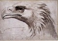 Head of an Eagle, c.1527-8 - Giulio Romano (Orbetto)
