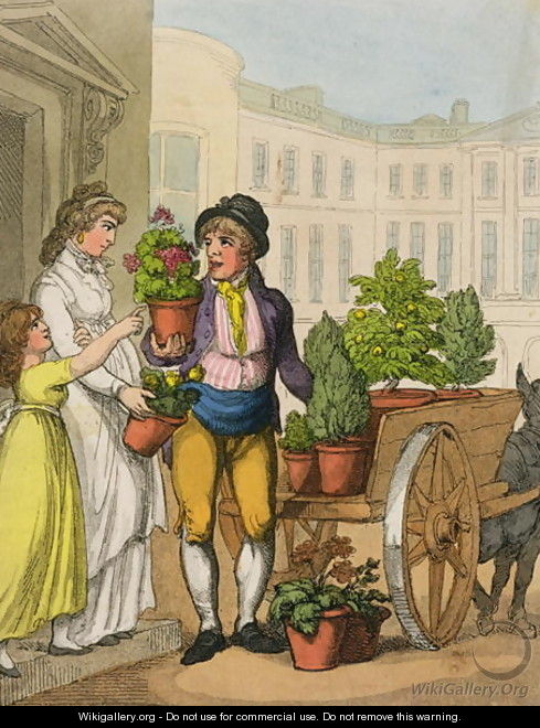 Cries of London The Garden Pot Seller, 1799 - Thomas Rowlandson