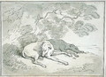 Greyhounds Asleep - Thomas Rowlandson