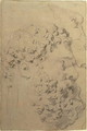 Studies of the head and profile of the Farnese Hercules by Glycon, verso, 1606-08 - and Snyders, F. Rubens, Peter Paul