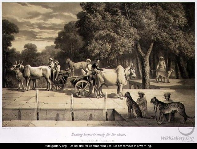 Hunting Leopards Ready for the Chase, from Voyage in India, engraved by Louis Henri de Rudder 1807-81 pub. in London, 1858 - Louis Henri de Rudder