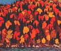 Autumn Foliage - Tom Thomson