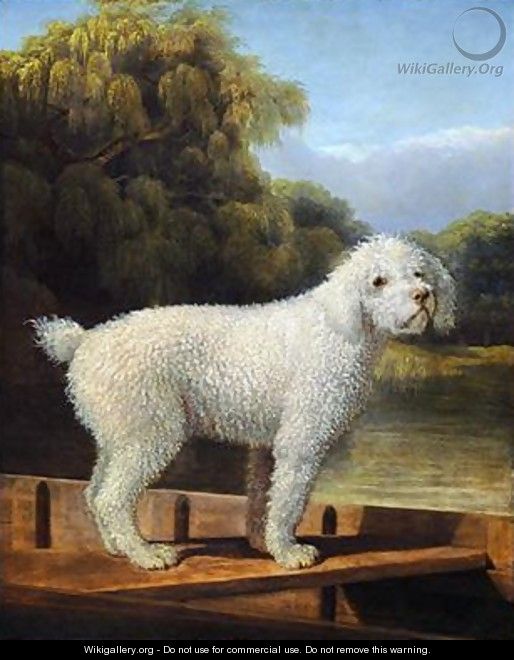 White Poodle in a Punt - George Stubbs