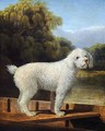White Poodle in a Punt - George Stubbs