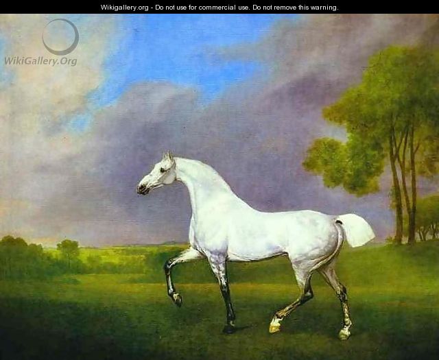 A Grey Horse - George Stubbs