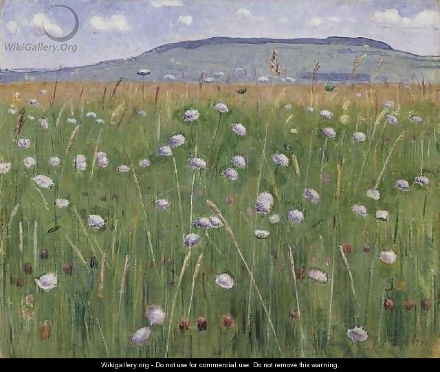 Wiesenstück - Ferdinand Hodler