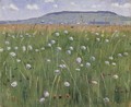 Wiesenstück - Ferdinand Hodler