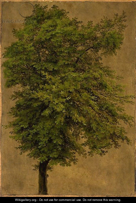 Young Oak Tree - Karl Blechen
