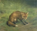 Study of a Fox - Rosa Bonheur