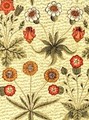 Daisy - William Morris