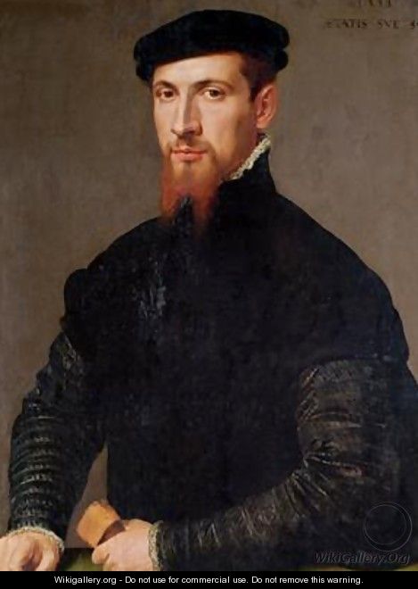 Portrait of Simon Renard 1513-73 1553 - Giacomo Antonio Moro