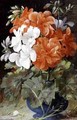 Pelargoniums - William Muckley