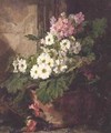 Still life of primulas - Martha Darley Mutrie