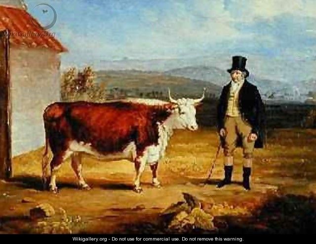 Mr James Hodges and his Two Year-Old Hereford Heifer 1843 - James Flewitt Mullock