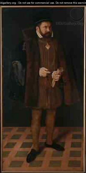 Portrait of Wolfgang Muenzer von Babenberg 1567 - Nicolas Neufchatel