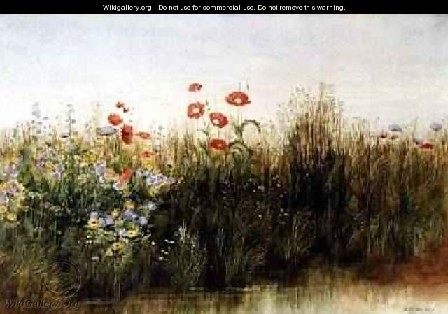 Wild Flowers by a Stream - Andrew Nicholl