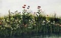 Poppies Daisies and Thistles on a River Bank - Andrew Nicholl