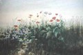 Irish Wildflowers - Andrew Nicholl