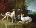 Misse and Turlu, two greyhounds of Louis XV - Jean-Baptiste Oudry