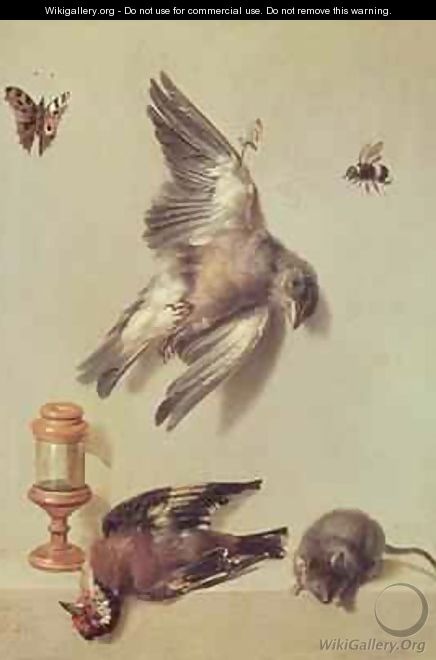 Still Life of Dead Birds and a Mouse, 1712 - Jean-Baptiste Oudry