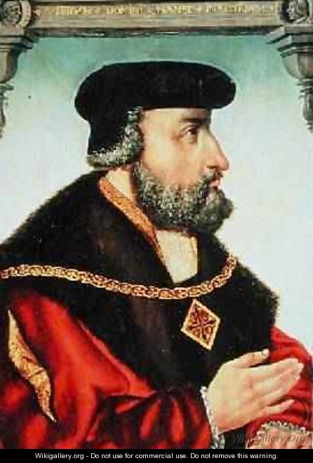 Portrait of Friedrich III 1503-54 der Kurfurst von Sachsen - Michael Ostendorfer