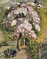 In a Shoreham Garden - Samuel Palmer