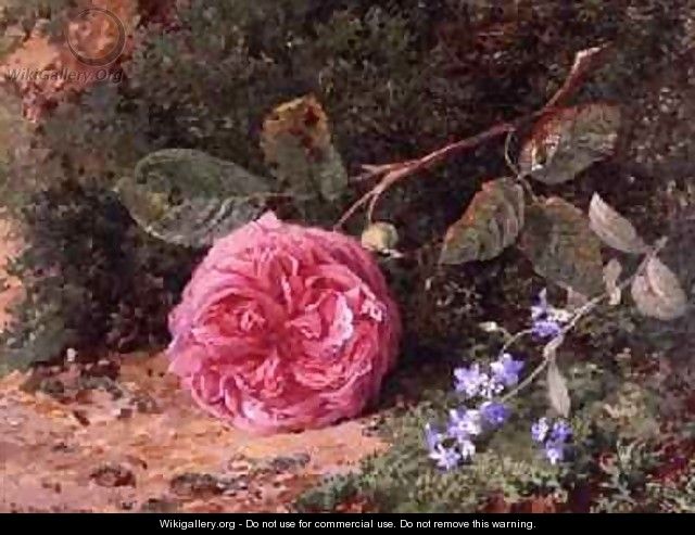 Pink Rose on a Mossy Bank, 1875 - Harry Sutton Palmer