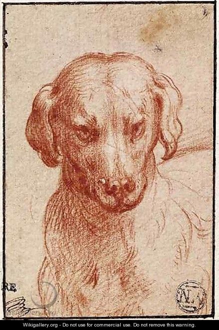 Head of a Dog - Girolamo Francesco Maria Mazzola (Parmigianino)