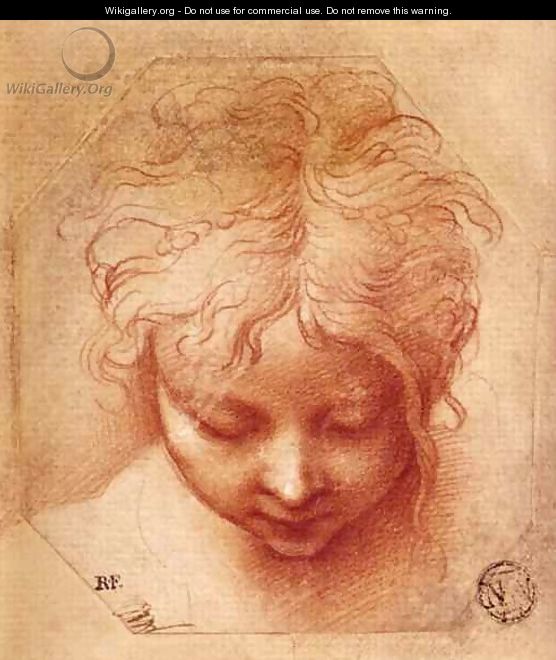 Study of a Head - Girolamo Francesco Maria Mazzola (Parmigianino)